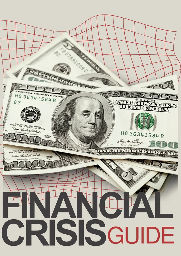 Cover of The Financial Crisis Guide
